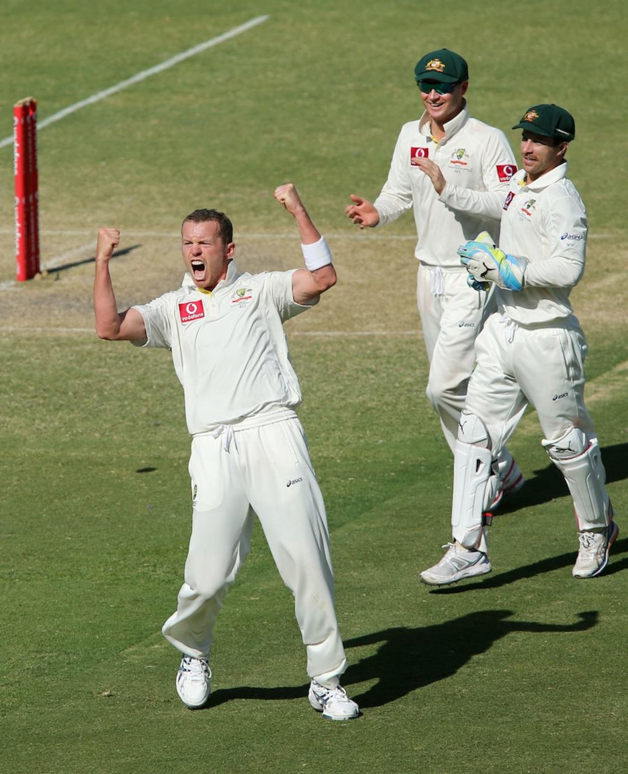 Peter Siddle celebrates after dismissing Dale Steyn, Australia v South Africa, 2nd Test, Adelaide, 5th day, November 26, 2012