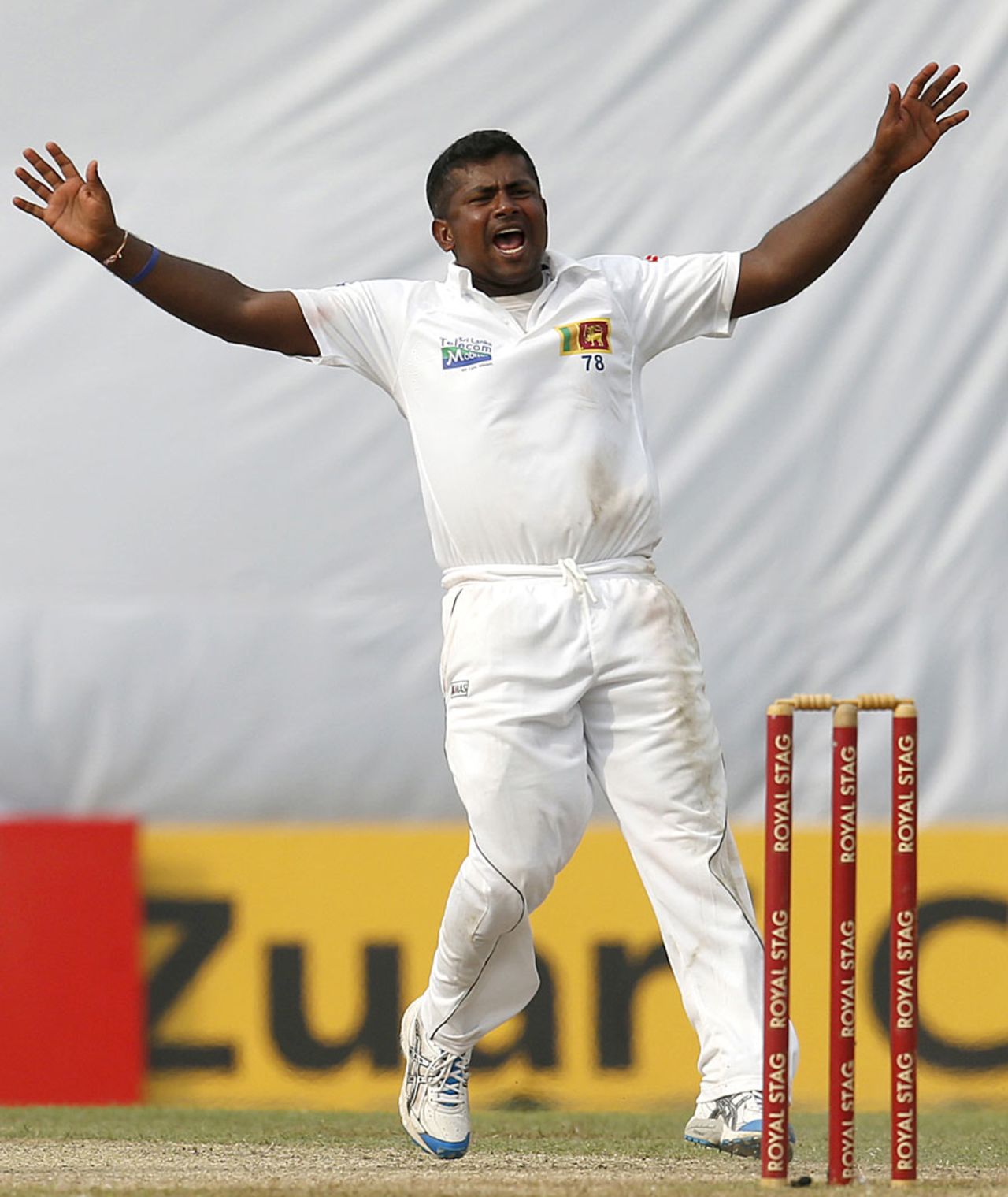 Rangana Herath appeals for a wicket, Sri Lanka v New Zealand, 2nd Test, Colombo, 2nd day, November 26, 2012
