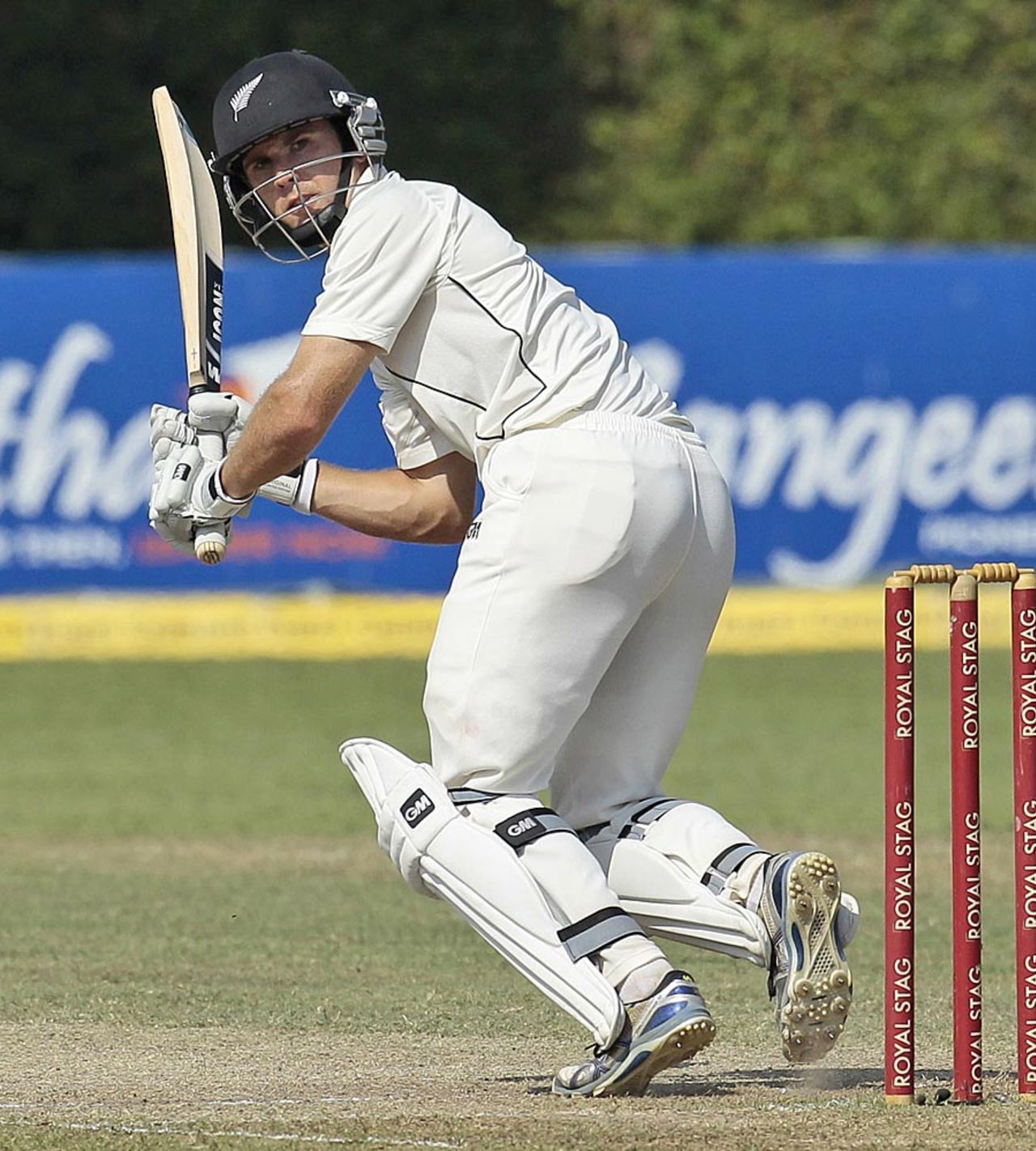 Todd Astle scored 35, and shared a 97-run stand with Ross Taylor, Sri Lanka v New Zealand, 2nd Test, Colombo, 4th day, November 28, 2012