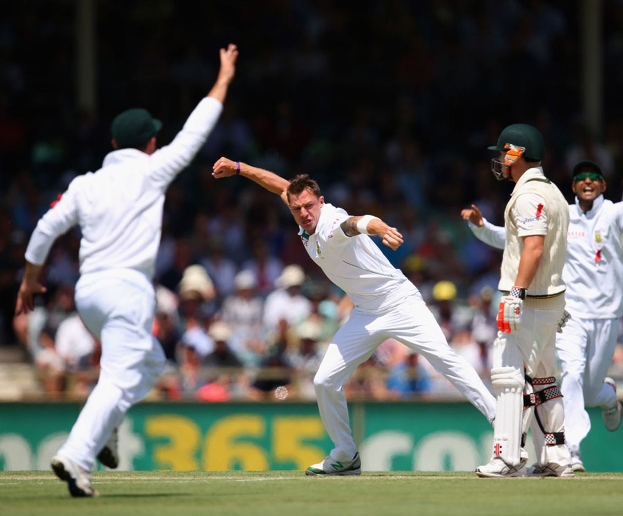 Dale Steyn got David Warner with his first ball of the day, Australia v South Africa, 3rd Test, 2nd day, Perth, December 1, 2012