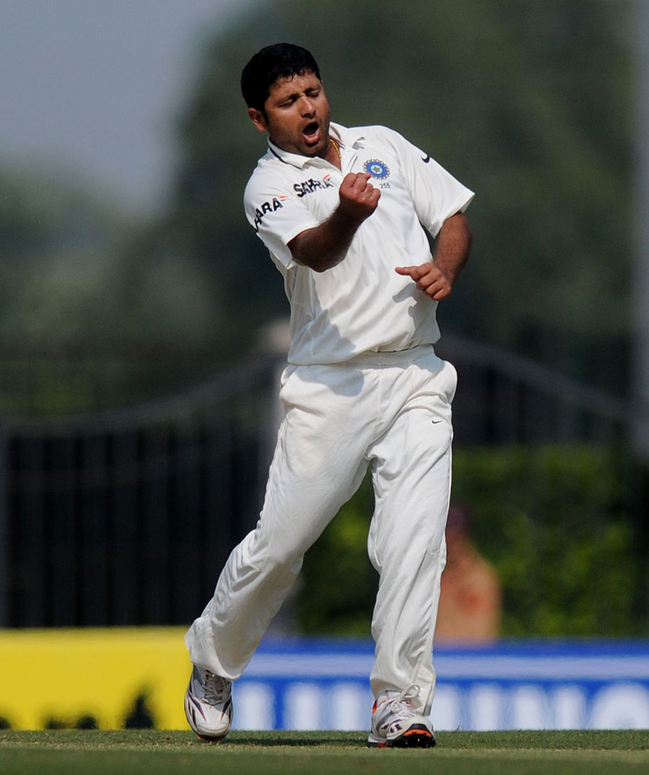 Piyush Chawla celebrates a wicket, India v England, 4th Test, Nagpur, 2nd day, December 14, 2012