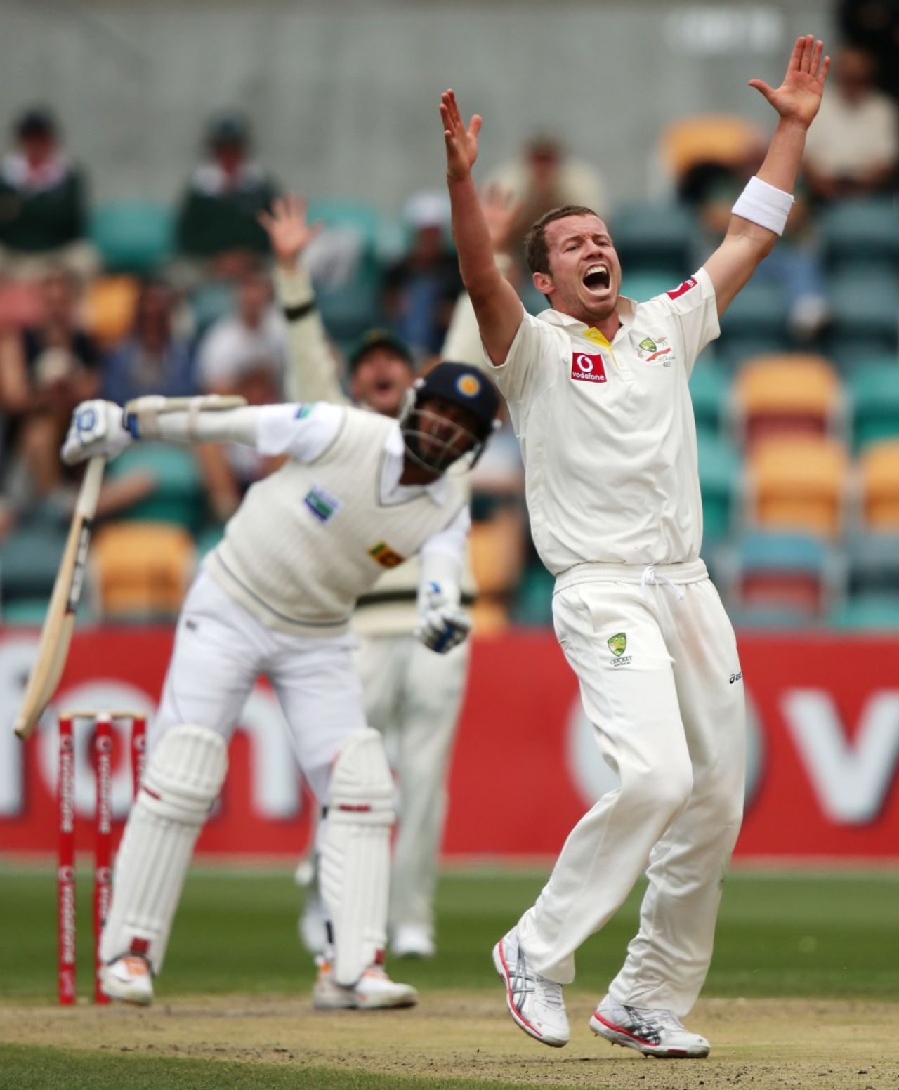Peter Siddle has Kumar Sangakkara trapped lbw, Australia v Sri Lanka, 1st Test, Hobart, 5th day, December 18, 2012
