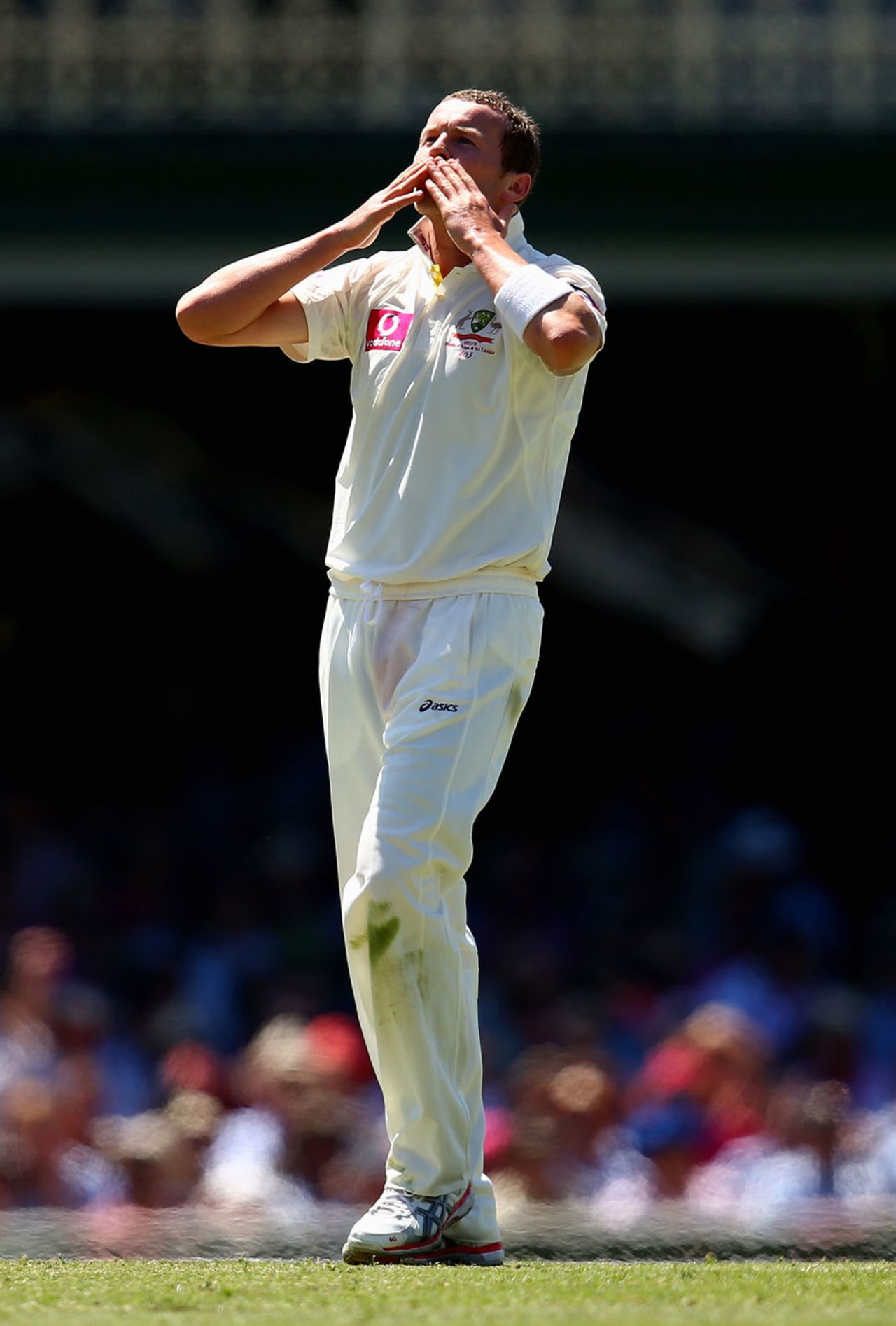 Peter Siddle celebrates dismissing Thilan Samaraweera, Australia v Sri Lanka, 3rd Test, Sydney, 1st day, January 3, 2013