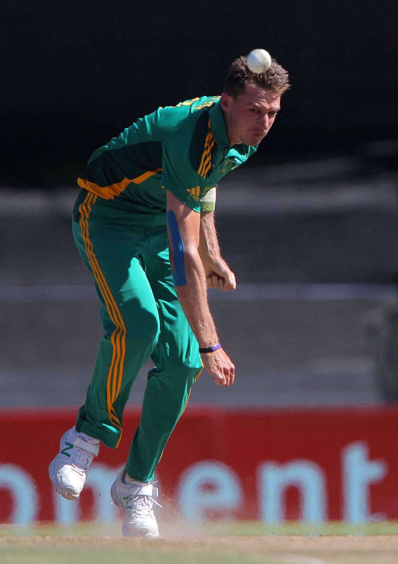 Dale Steyn conceded only 33 from his 10 overs but went wicketless, South Africa v New Zealand, 1st ODI, Paarl, January 19, 2013