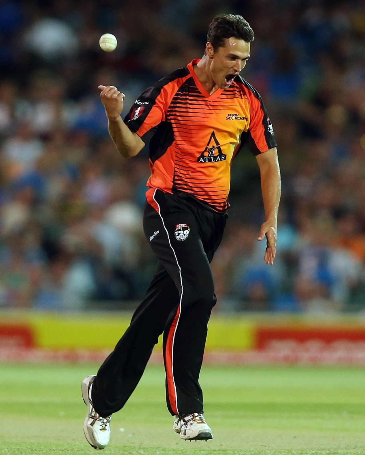 Nathan Coulter-Nile celebrates a wicket, Adelaide Strikers v Perth Scorchers, Big Bash League 2012-13, Adelaide, January 10, 2013