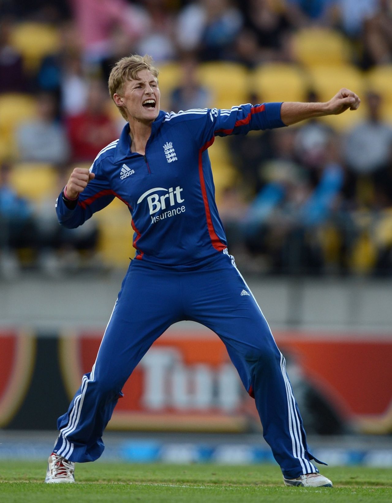 Joe Root celebrates the wicket of Ross Taylor, his first T20 wicket, New Zealand v England, 3rd T20, Wellington, February 15, 2013