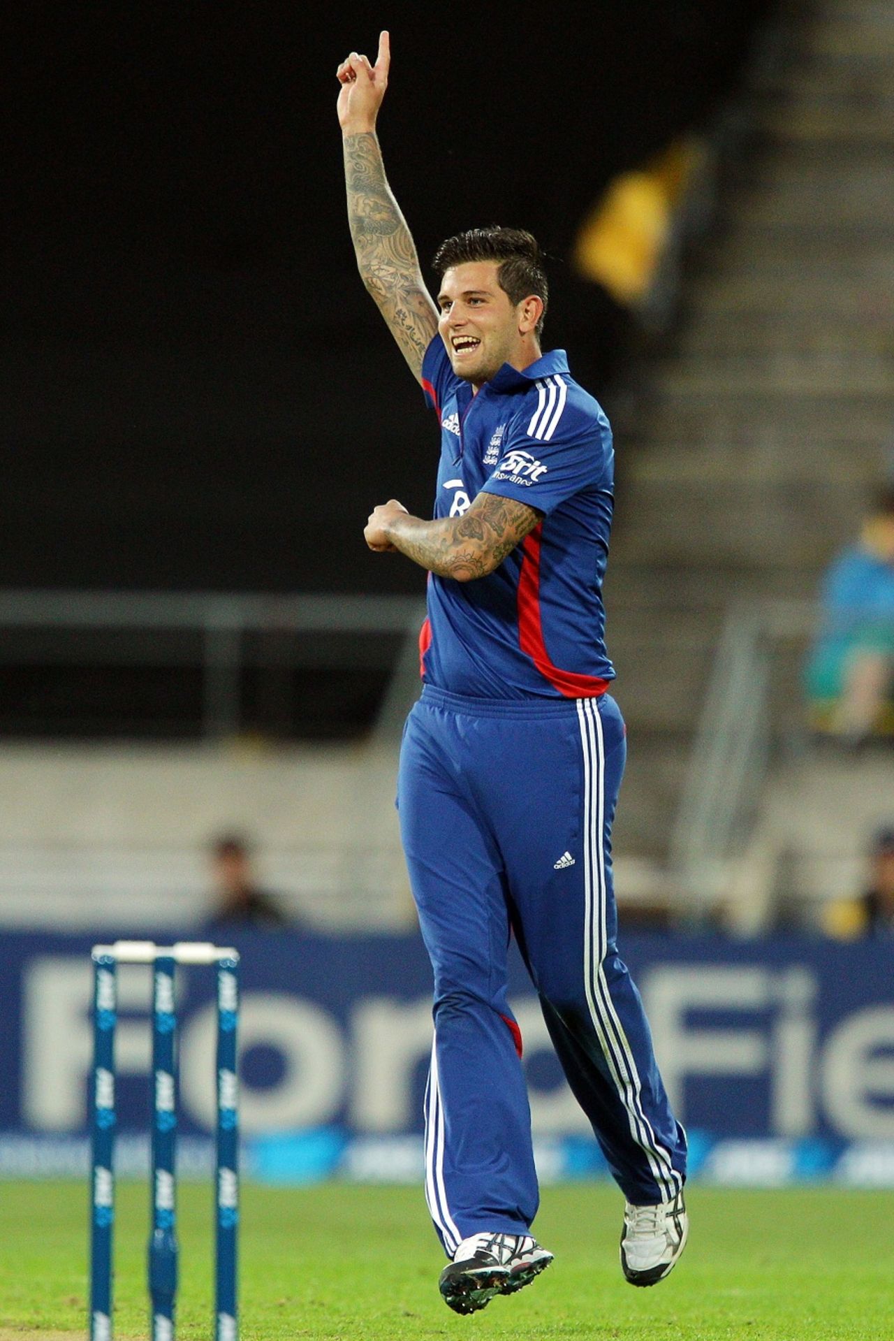 Jade Dernbach celebrates one of his three wickets, New Zealand v England, 3rd T20, Wellington, February 15, 2013