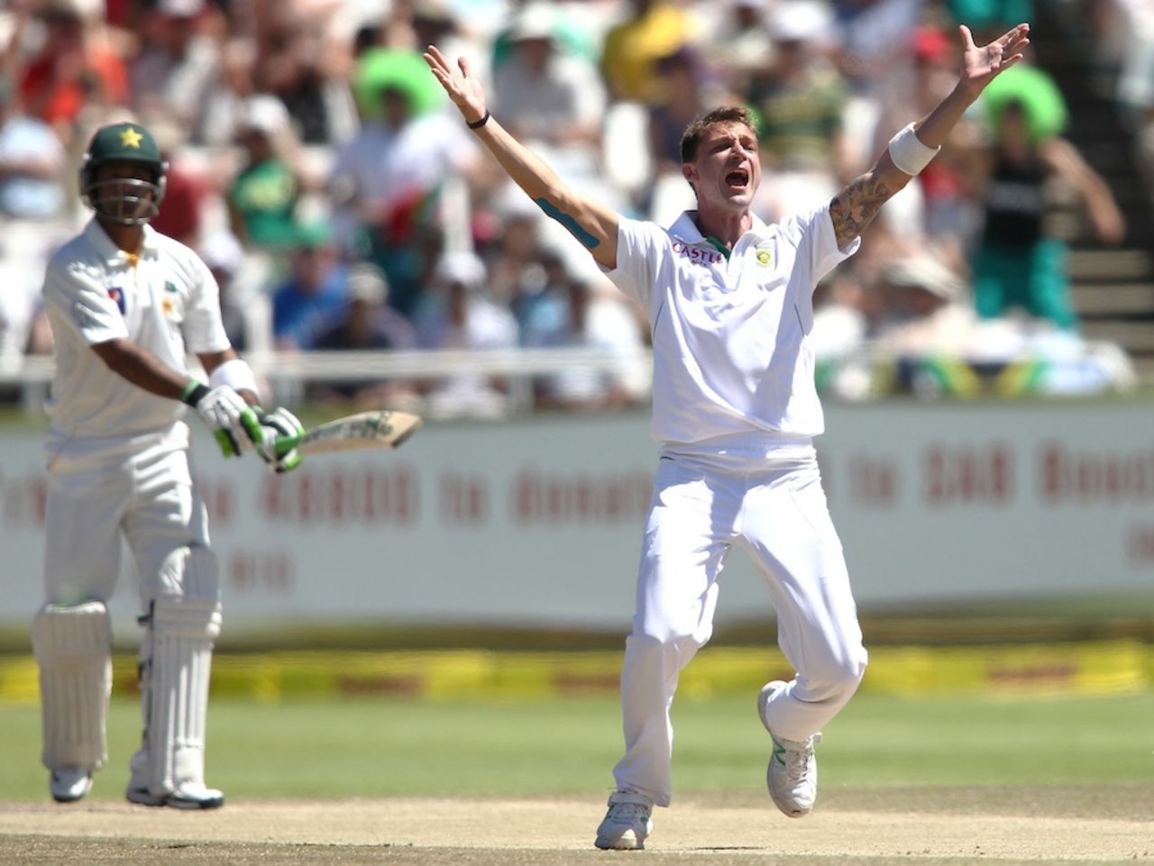 Dale Steyn appeals against Mohammad Hafeez, South Africa v Pakistan, 2nd Test, Cape Town, 3rd day, February 16, 2013