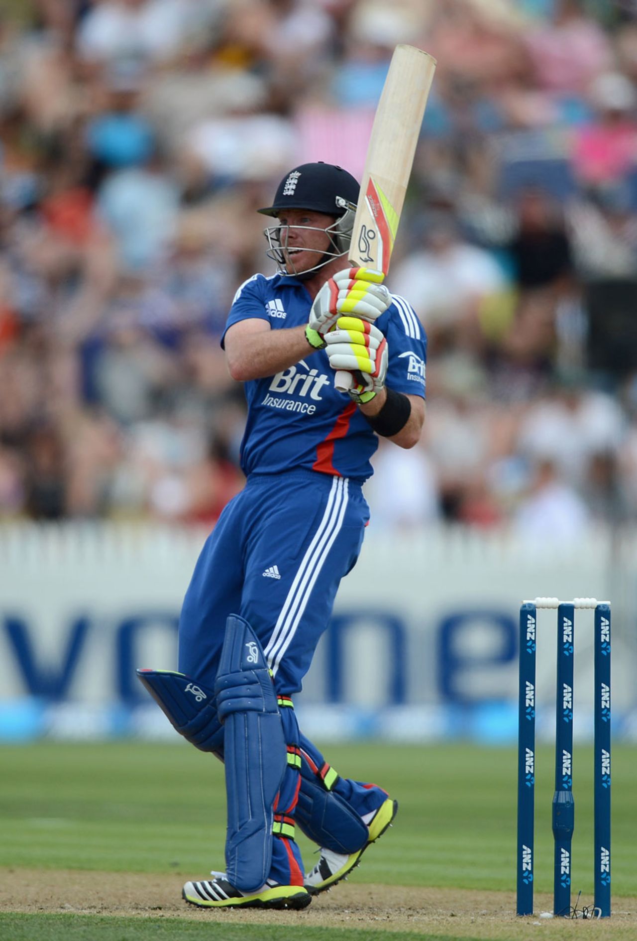 Ian Bell pulls during his half-century, New Zealand v England, 1st ODI, Hamilton, February 17, 2013