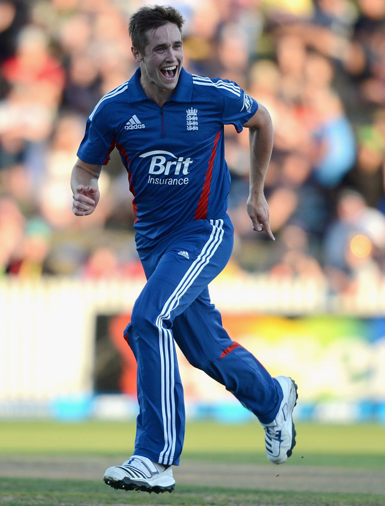 Chris Woakes bounced out Ross Taylor, New Zealand v England, 1st ODI, Hamilton, February 17, 2013