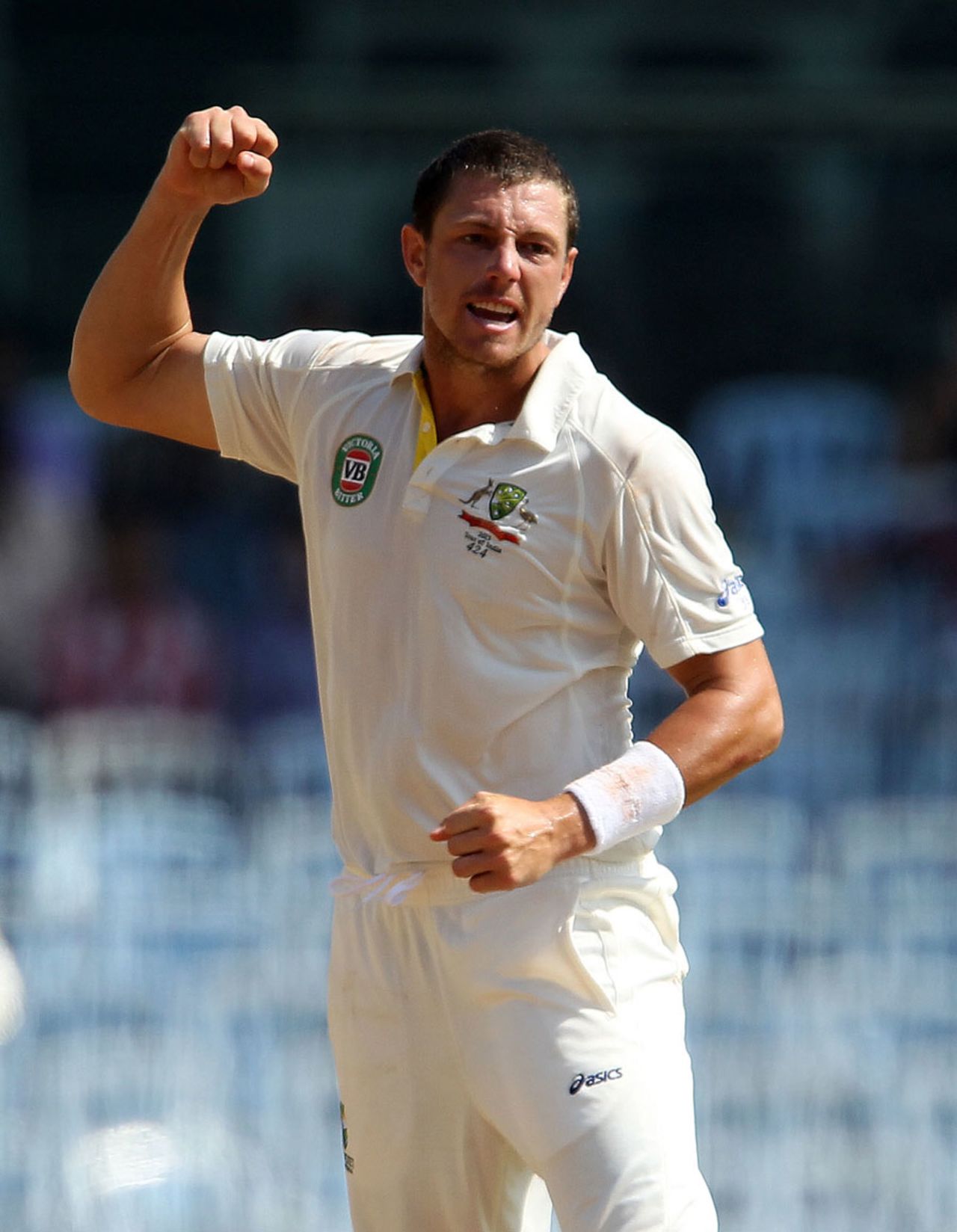 James Pattinson finished with a five-for, India v Australia, 1st Test, Chennai, 4th day, February 25, 2013