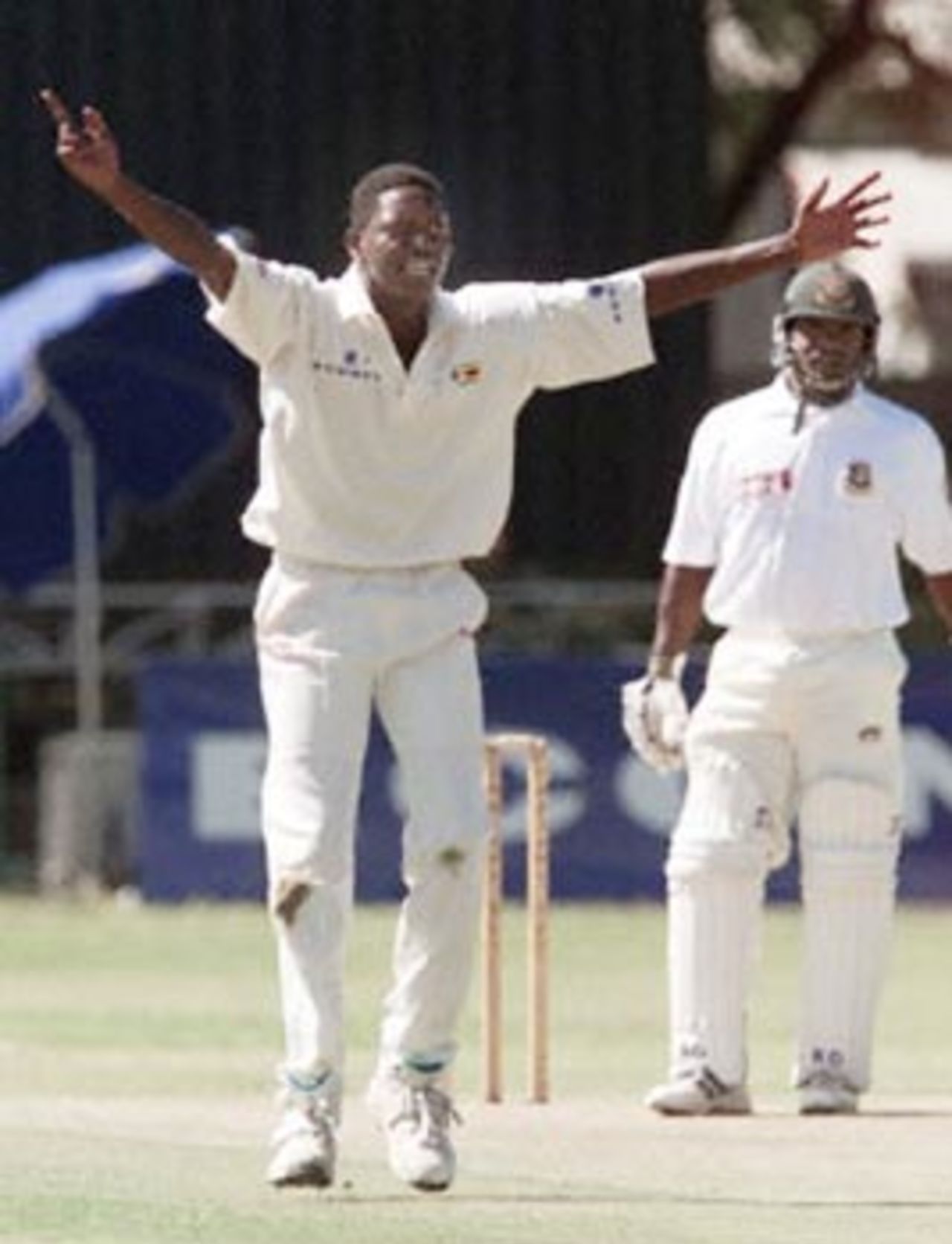 Debutant Brighton Watambwa appeals in vain for lbw against Aminul, 1st Test, Zimbabwe v Bangladesh, Queens Sports Club, Bulawayo Aprril 19, 2001 