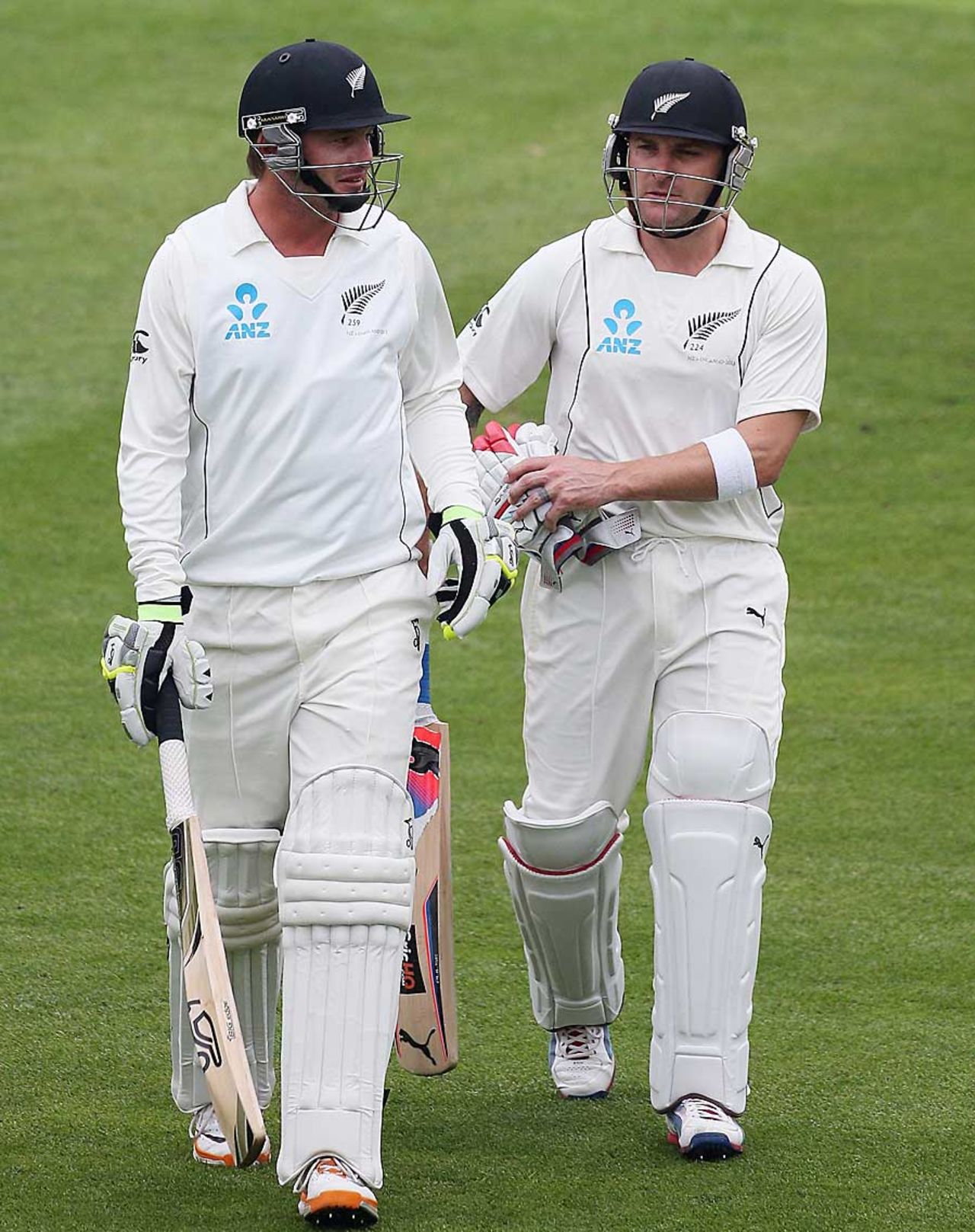 Bruce Martin and Brendon McCullum walk off for tea, New Zealand v England, 1st Test, Dunedin, 3rd day, March 8, 2013