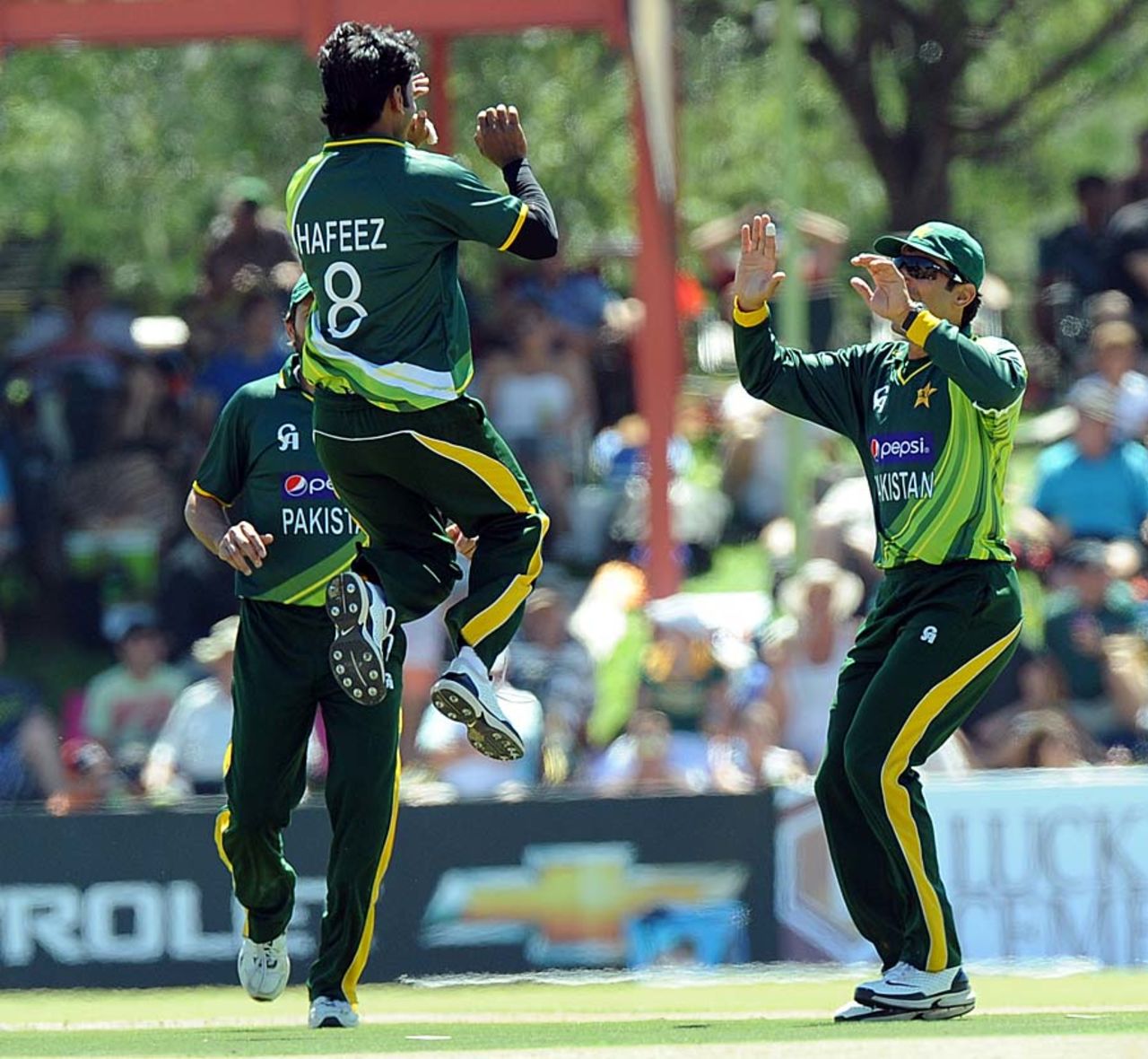 Pakistan players celebrate Hashim Amla's wicket, South Africa v Pakistan, 1st ODI, Bloemfontein, March 10, 2013
