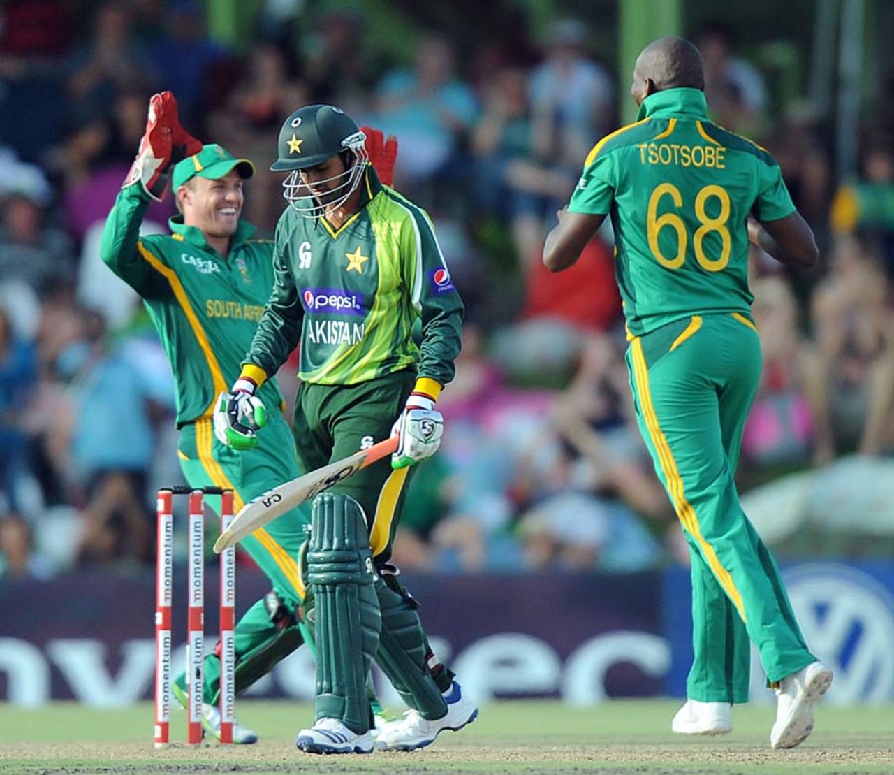 South Africans are delighted after the wicket of Shoaib Malik, South Africa v Pakistan, 1st ODI, Bloemfontein, March 10, 2013