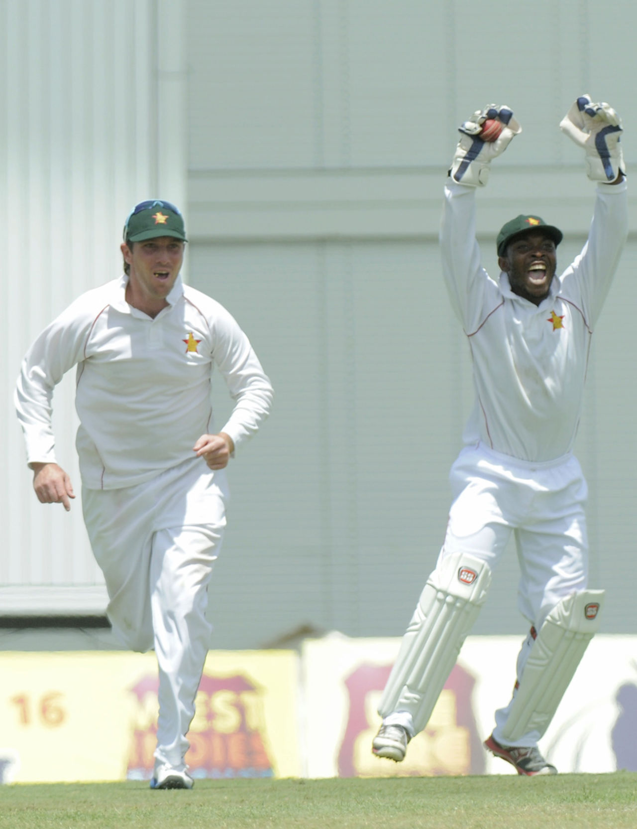 Brendan Taylor and Regis Chakabva are delighted at the fall of Marlon Samuels, West Indies v Zimbabwe, 1st Test, Barbados, 2nd day, March 13, 2013