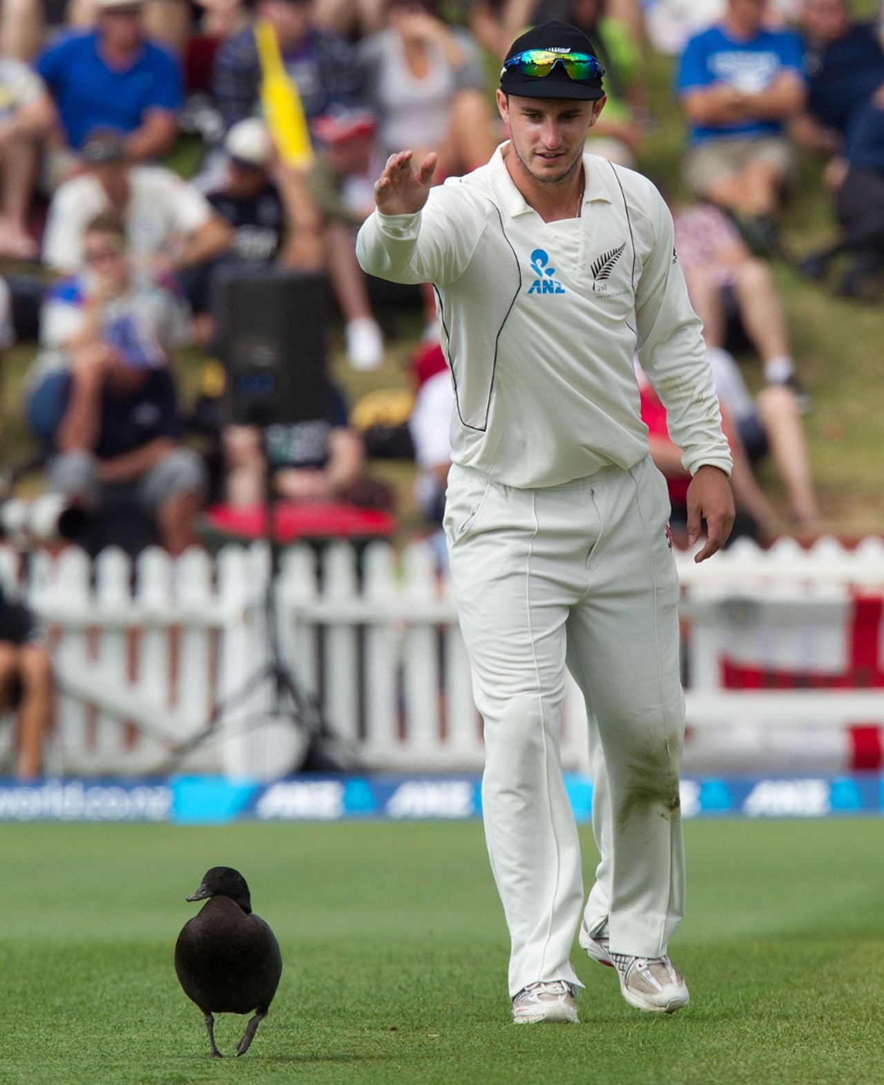 An early duck: Hamish Rutherford tries to move away an extra fielder, New Zealand v England, 2nd Test, Wellington, 1st day, March 14, 2013