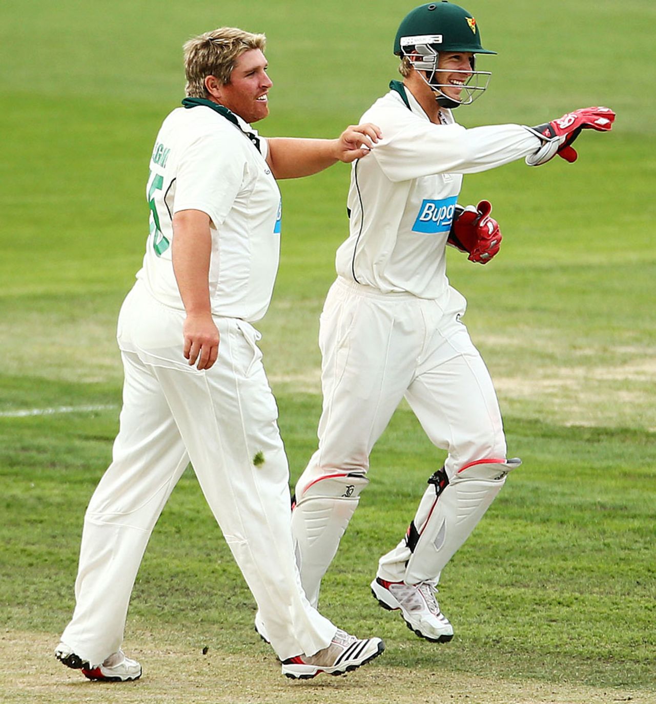 Mark Cosgrove and Tim Paine celebrate a wicket, Tasmania v Victoria, Sheffield Shield, Hobart, 2nd day, March 15, 2013