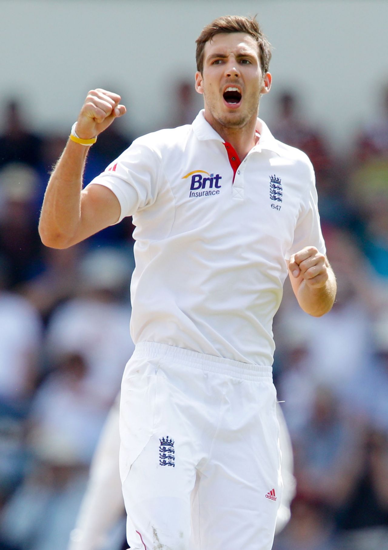 Steven Finn is charged up after removing Brendon McCullum, New Zealand v England, 2nd Test, Wellington, 3rd day, March 16, 2013