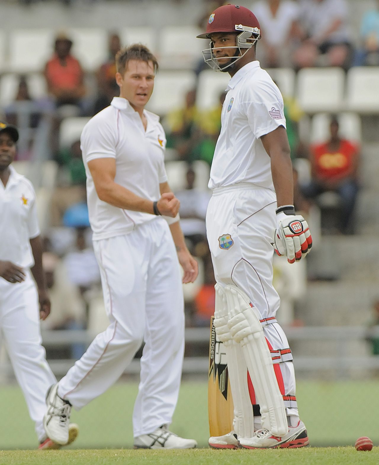 Kyle Jarvis celebrates Kieran Powell's dismissal, West Indies v Zimbabwe, 2nd Test, Dominica, 1st day, March 21, 2013