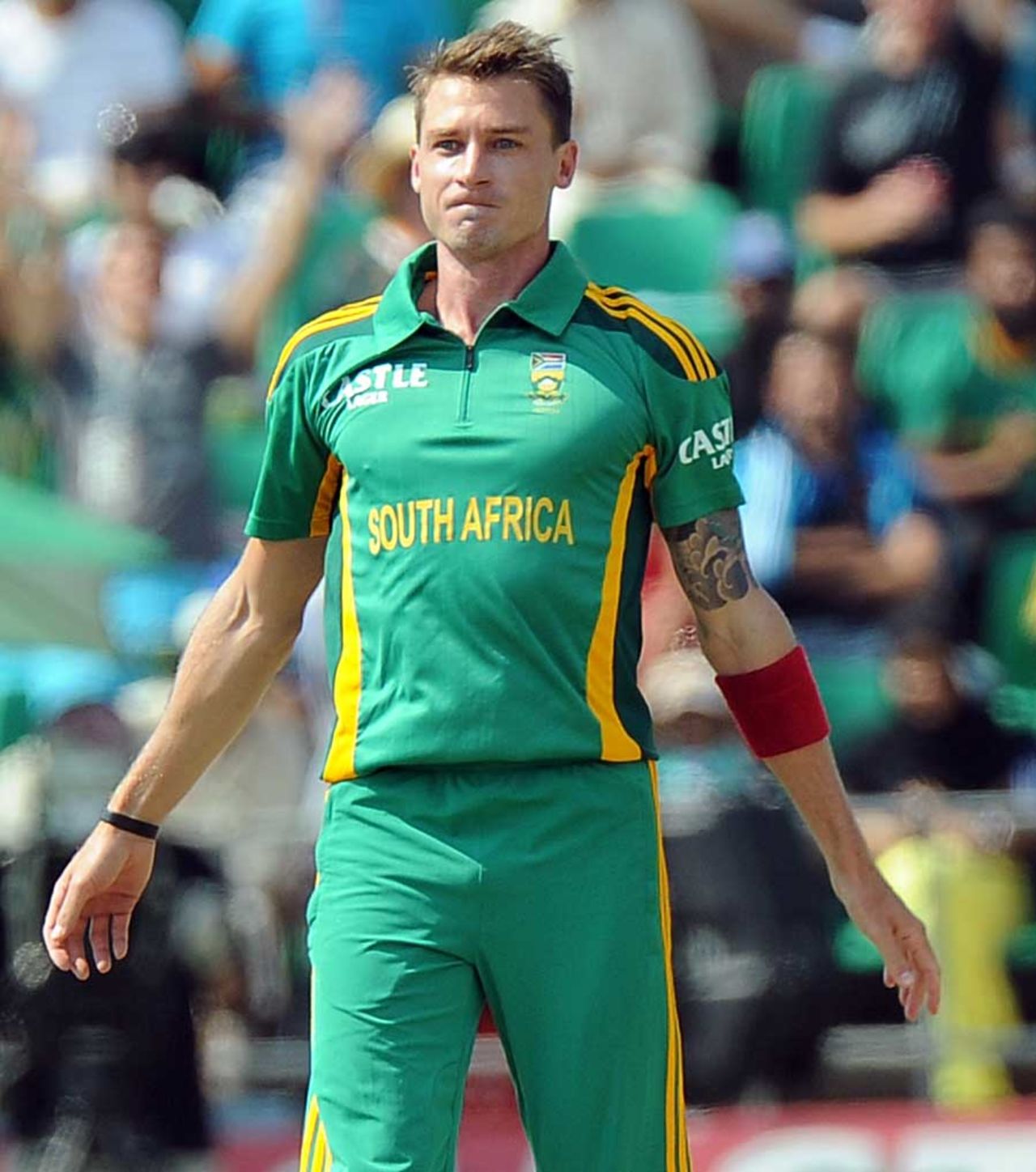 Dale Steyn dismissed Mohammad Hafeez for the sixth time on the tour, South Africa v Pakistan, 5th ODI, Benoni, March 24, 2013