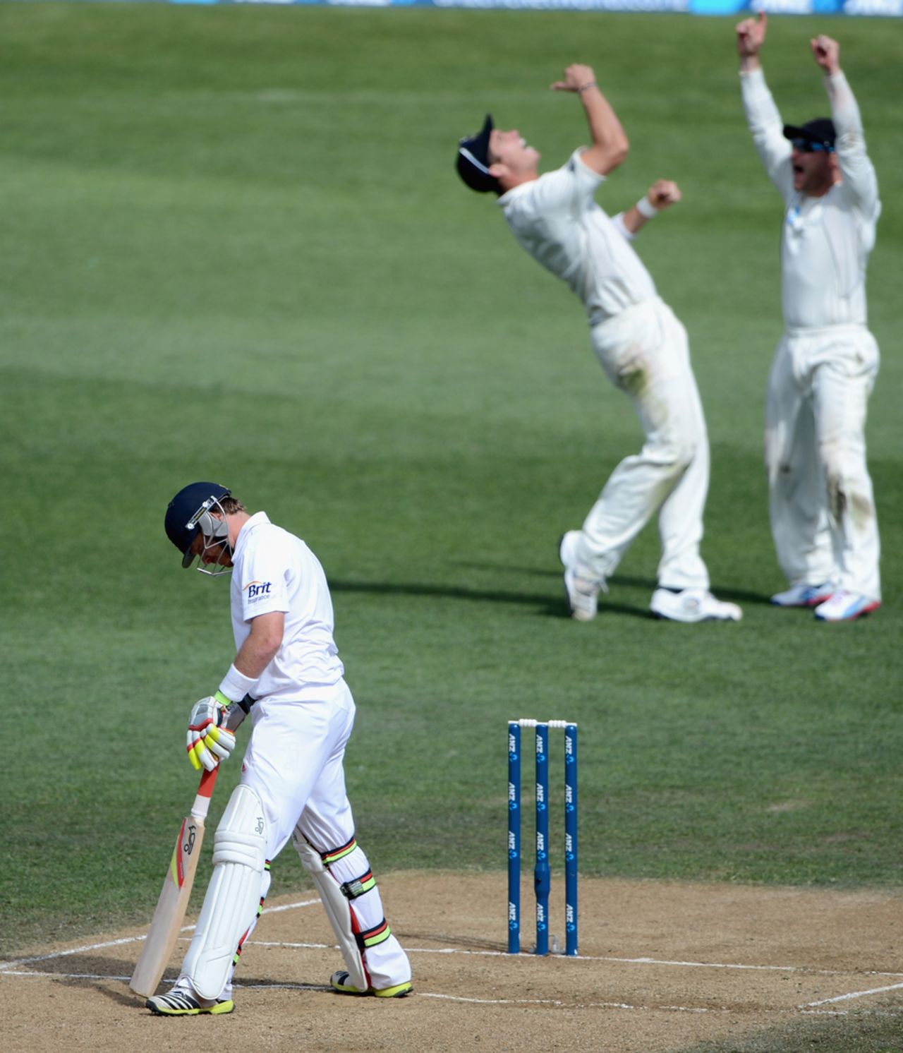 Ian Bell and New Zealand's fielders show contrasting emotions at his dismissal, New Zealand v England, 3rd Test, Auckland, 5th day, March 26, 2013