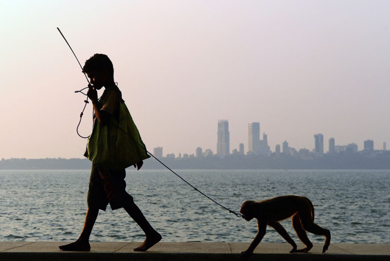 A man walks with his pet monkey towards a group of tourists at Marine Drive, Mumbai, March 5, 2013