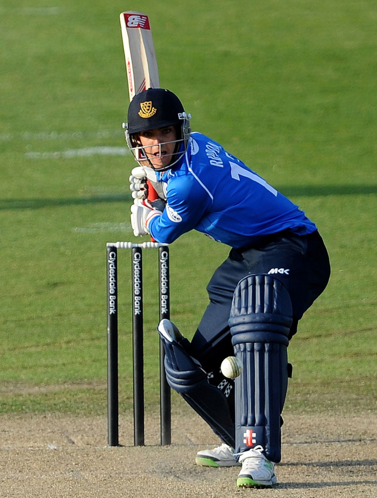 Michael Rippon remained unbeaten, Sussex v Worcestershire, Yorkshire Bank 40, Group A, Hove, May 5, 2013
