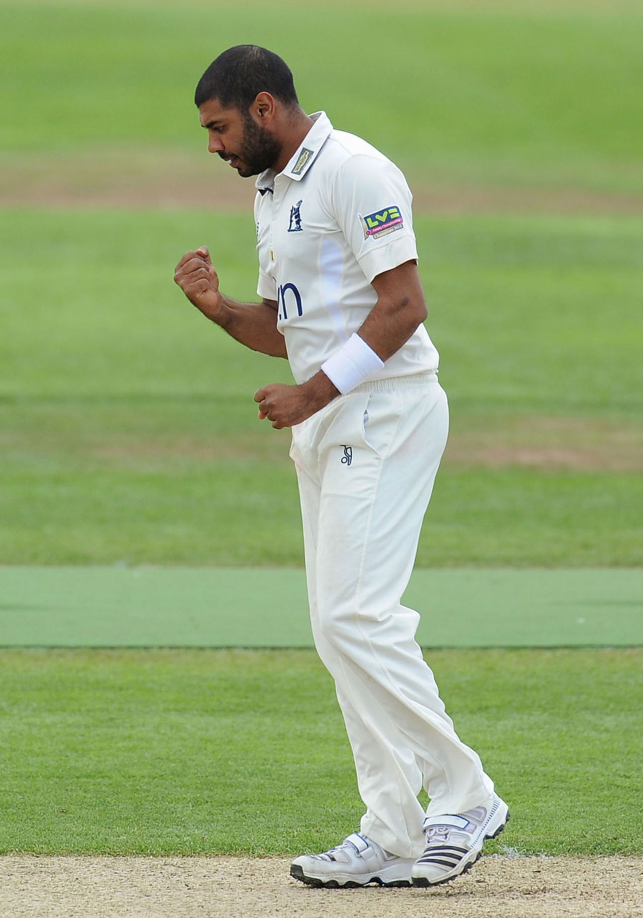 Jeetan Patel celebrates one of his two wickets, Warwickshire v Middlesex, County Championship, Division One, Edgbaston, 1st day, May 8, 2013