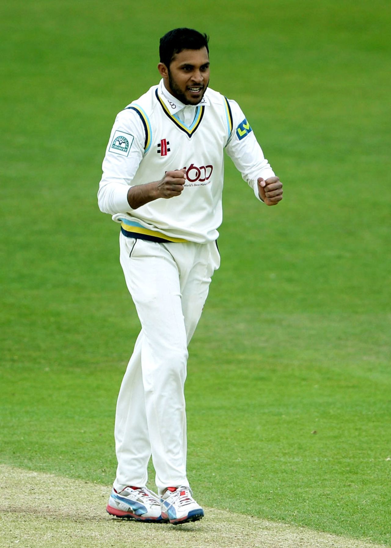 Adil Rashid celebrates a wicket, Yorkshire v Somerset, County Championship, Division One, Headingley, 3rd day, May 9, 2013