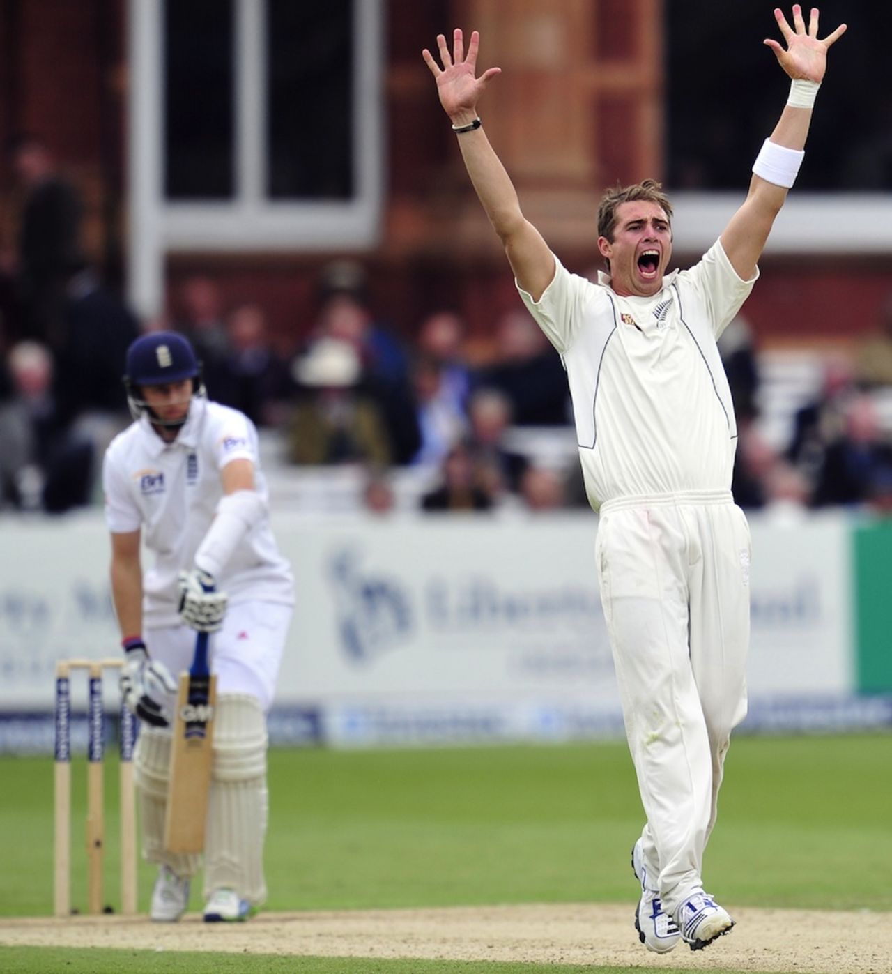 Tim Southee appeals unsuccessfully against Joe Root, England v New Zealand, 1st Investec Test, Lord's, 3rd day, May 18, 2013