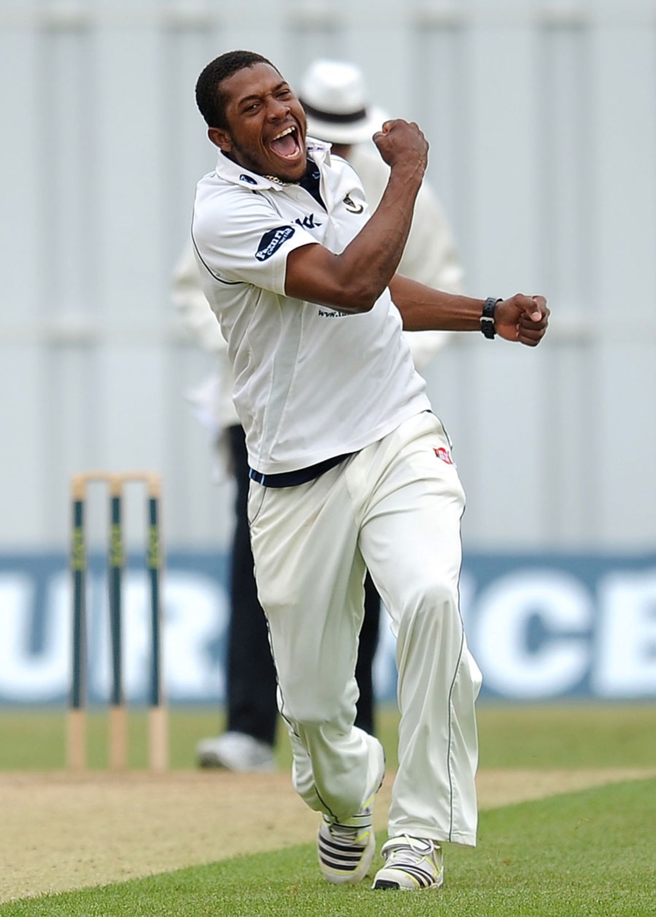 Chris Jordan celebrates one of his two wickets, Sussex v Somerset, County Championship, Division One, Horsham, 2nd day, May 23, 2013