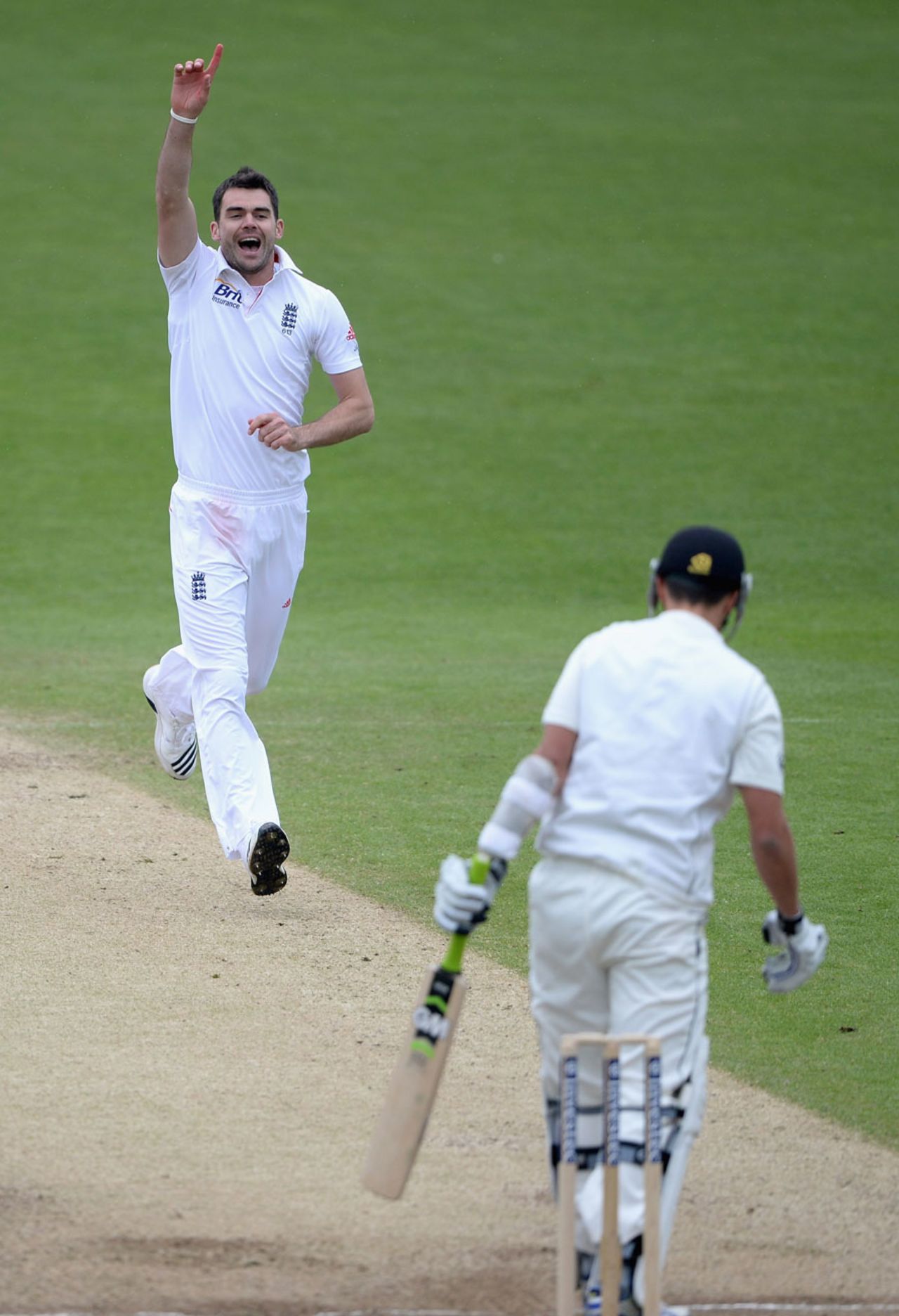 James Anderson took the last wicket to draw level with Fred Trueman, England v New Zealand, 2nd Investec Test, Headingley, 5th day, May 28, 2013