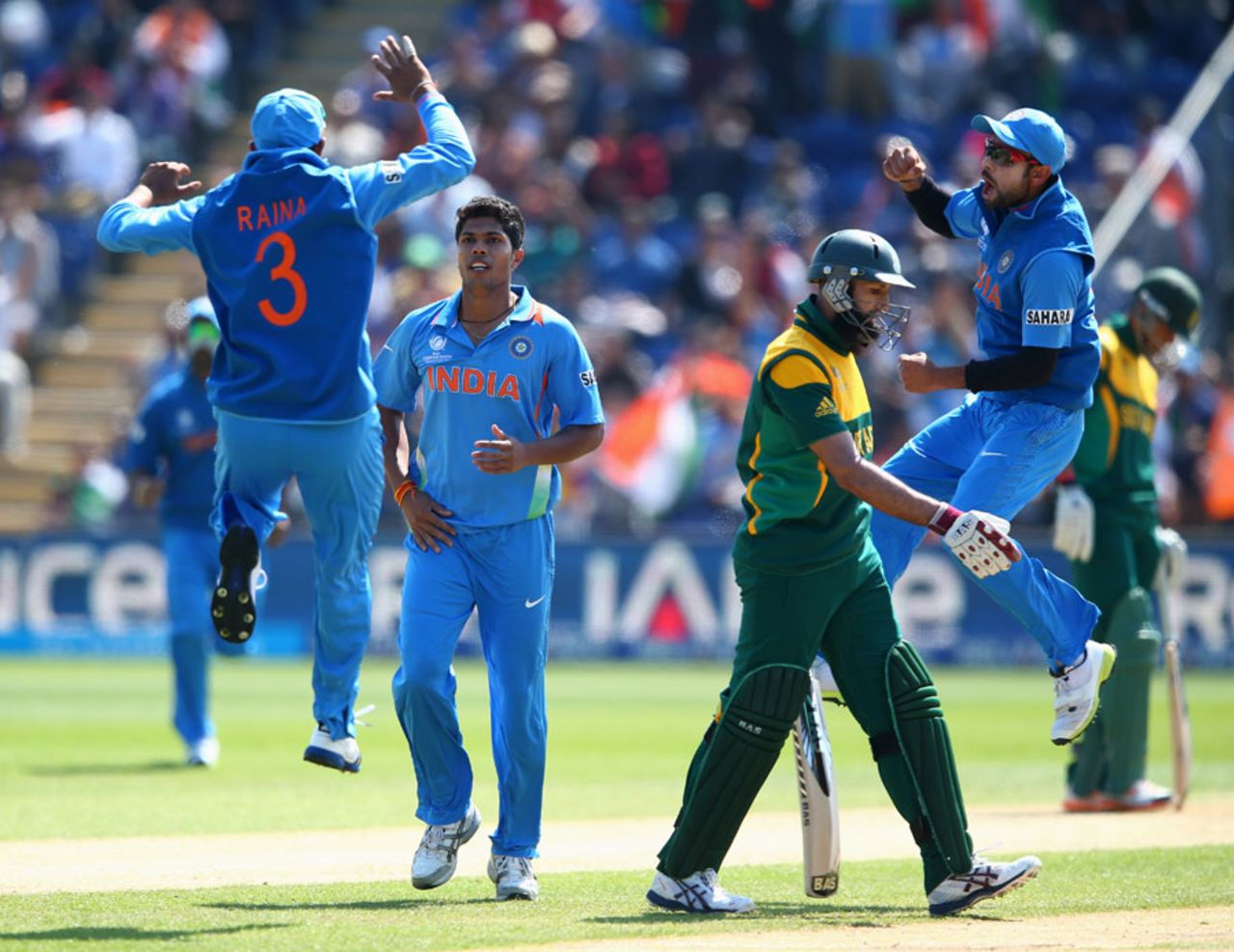 India celebrate Umesh Yadav's dismissal of Hashim Amla, India v South Africa, Champions Trophy, Group B, Cardiff, June 6, 2013