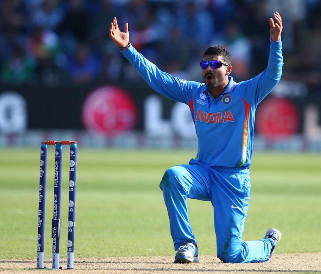 Ravindra Jadeja appeals for a wicket, India v South Africa, Champions Trophy, Group B, Cardiff, June 6, 2013