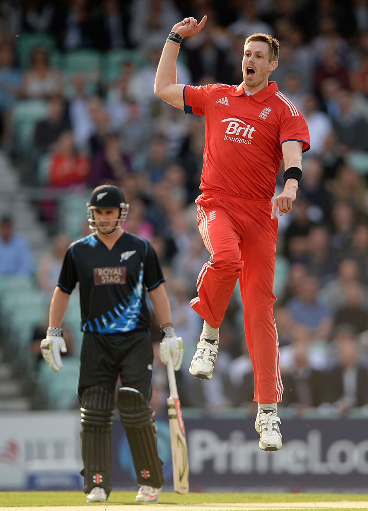 Boyd Rankin celebrates his first wicket for England, England v New Zealand, 1st T20, The Oval, June 25, 2013