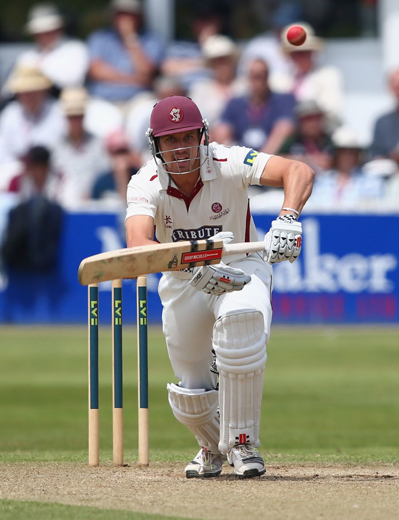 Nick Compton hits the ball down the ground, Somerset v Australians, Taunton, 3rd day, June 28, 2013