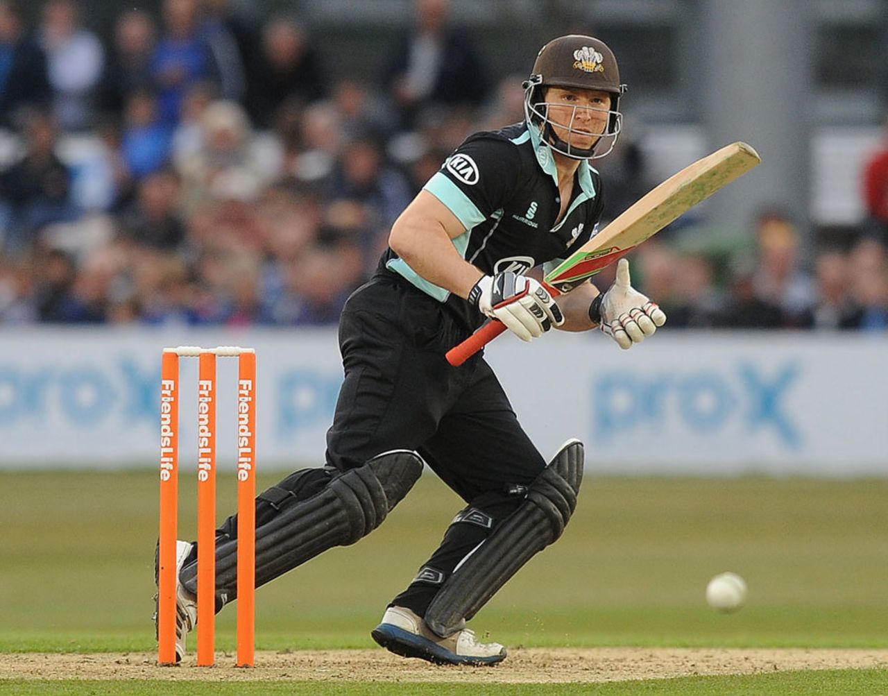 Gary Wilson struck two sixes in a quickfire 31, Sussex v Surrey, Friends Life t20, South Group, Hove, June, 28, 2013