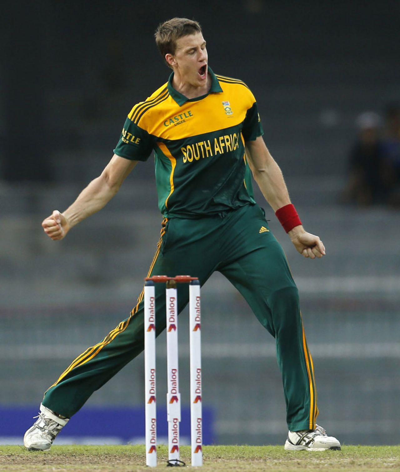 Morne Morkel celebrates Tillakaratne Dilshan's wicket, Sri Lanka v South Africa, 2nd ODI, Colombo, July 23, 2013