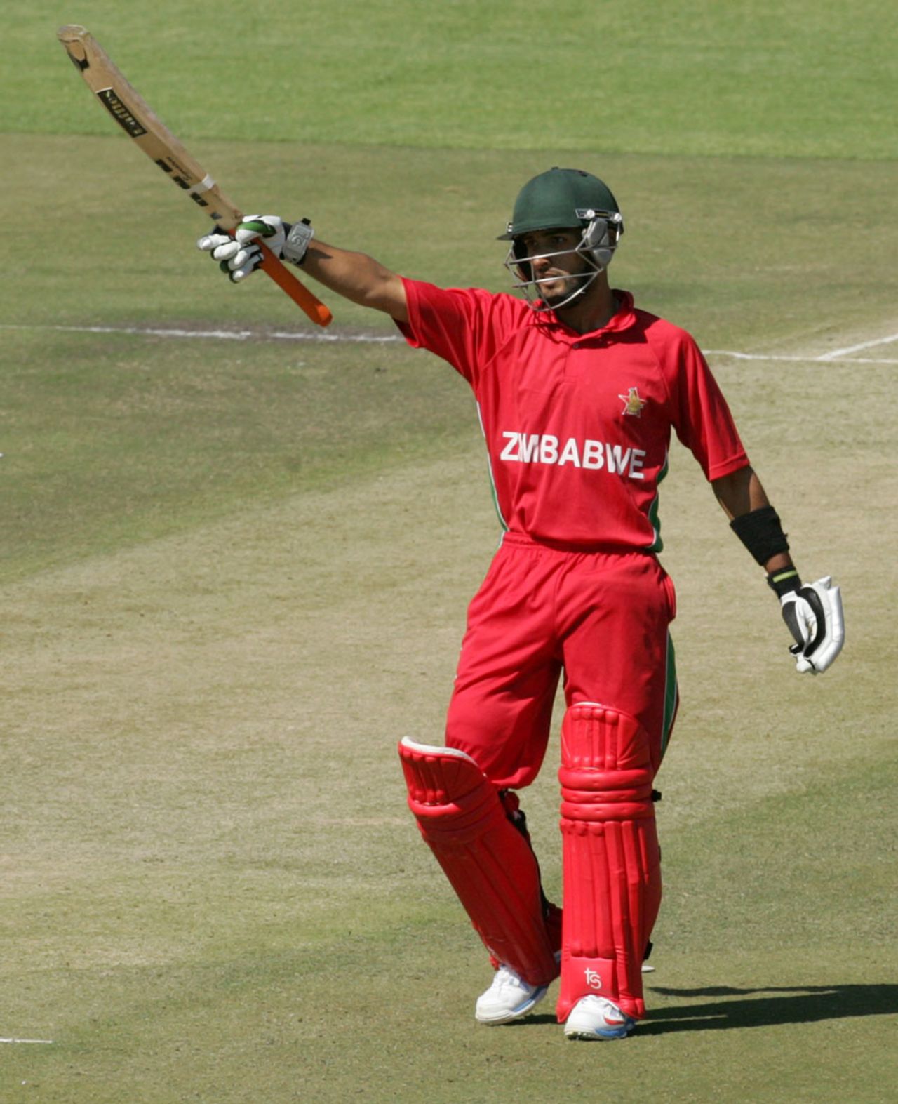 Sikandar Raza raises his bat after reaching his half-century, Zimbabwe v India, 1st ODI, Harare, July 24, 2013
