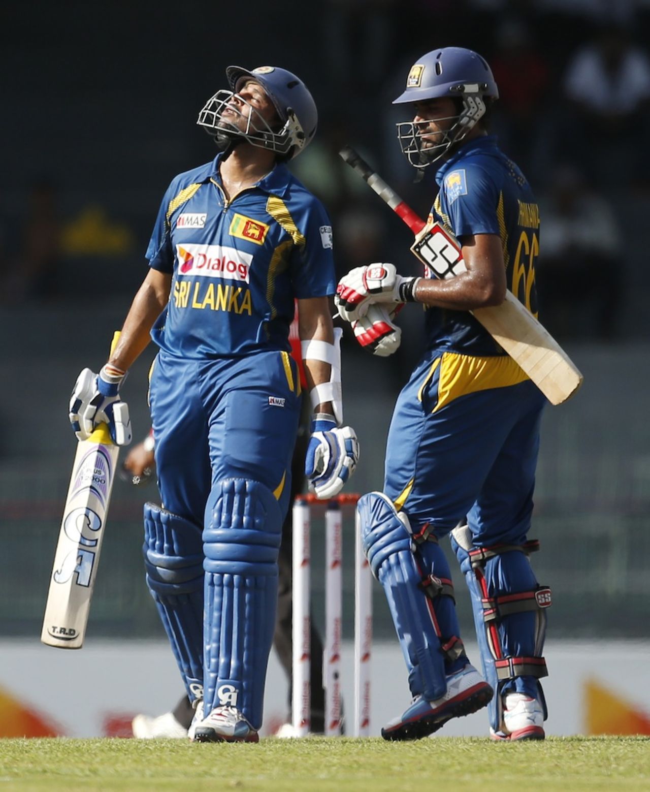 Tillakaratne Dilshan looks to the heavens after his fifty, Sri Lanka v South Africa, 5th ODI, Colombo, July 31, 2013