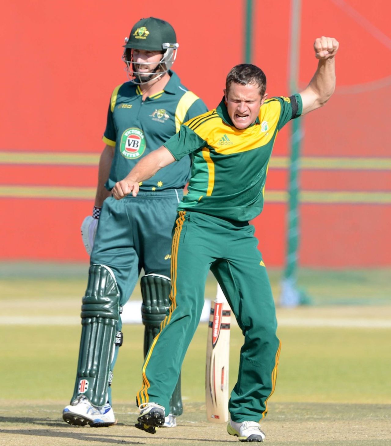 Roelof van der Merwe exults after taking a wicket, South Africa A v Australia A, tri-series, Pretoria, August 6, 2013
