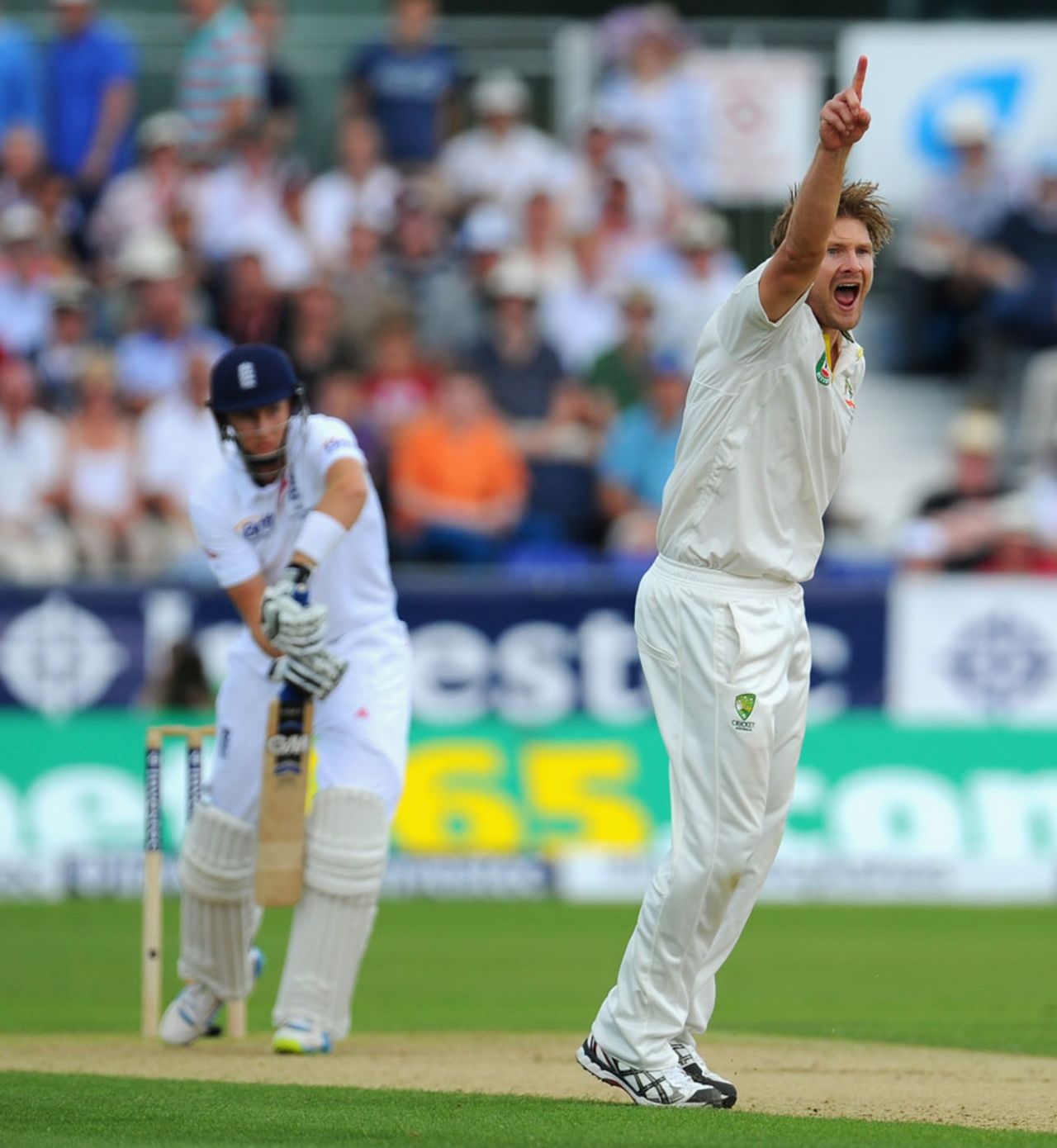 Shane Watson appeals for the wicket of Joe Root, England v Australia, 4th Investec Ashes Test, Chester-le-Street, 1st day, August 9, 2013