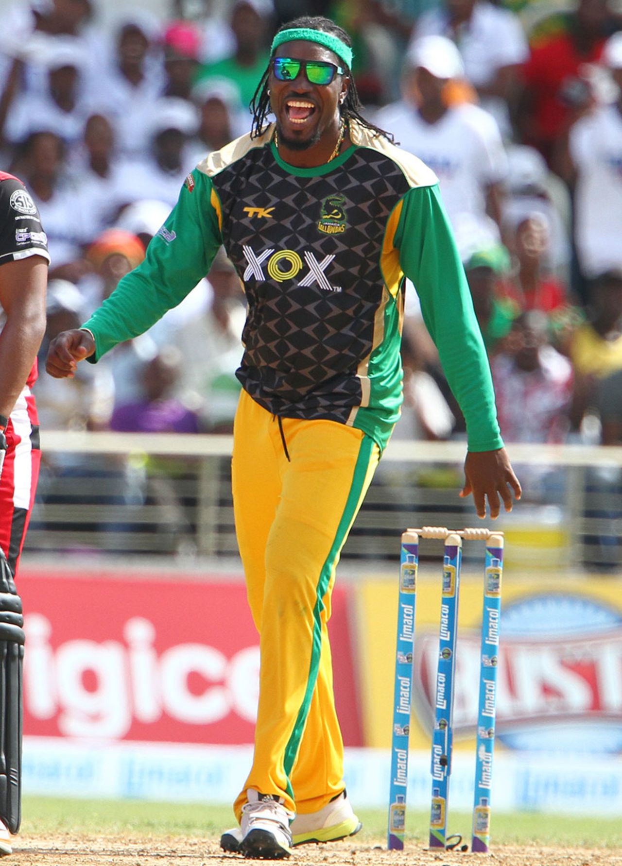 Chris Gayle is ecstatic after picking up a wicket, Jamaica Tallawahs v Trinidad & Tobago Red Steel, Caribbean Premier League 2013, Kingston, August 18, 2013