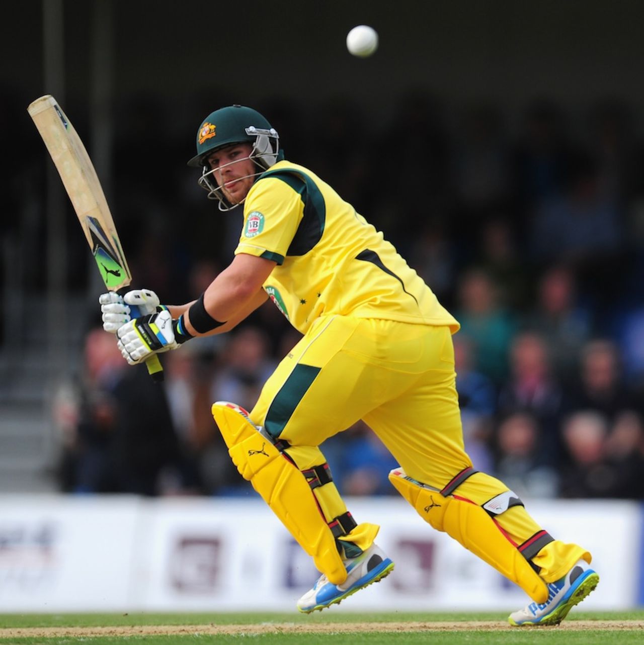 Aaron Finch clips one off his pads, Scotland v Australia, only ODI, Edinburgh, September 3, 2013