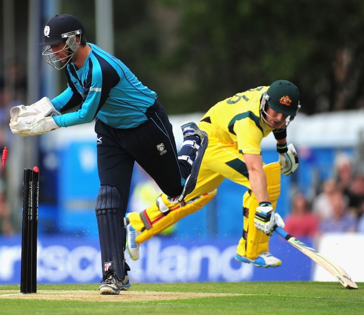 David Murphy flicks the bails off as Aaron Finch runs in, Scotland v Australia, only ODI, Edinburgh, September 3, 2013