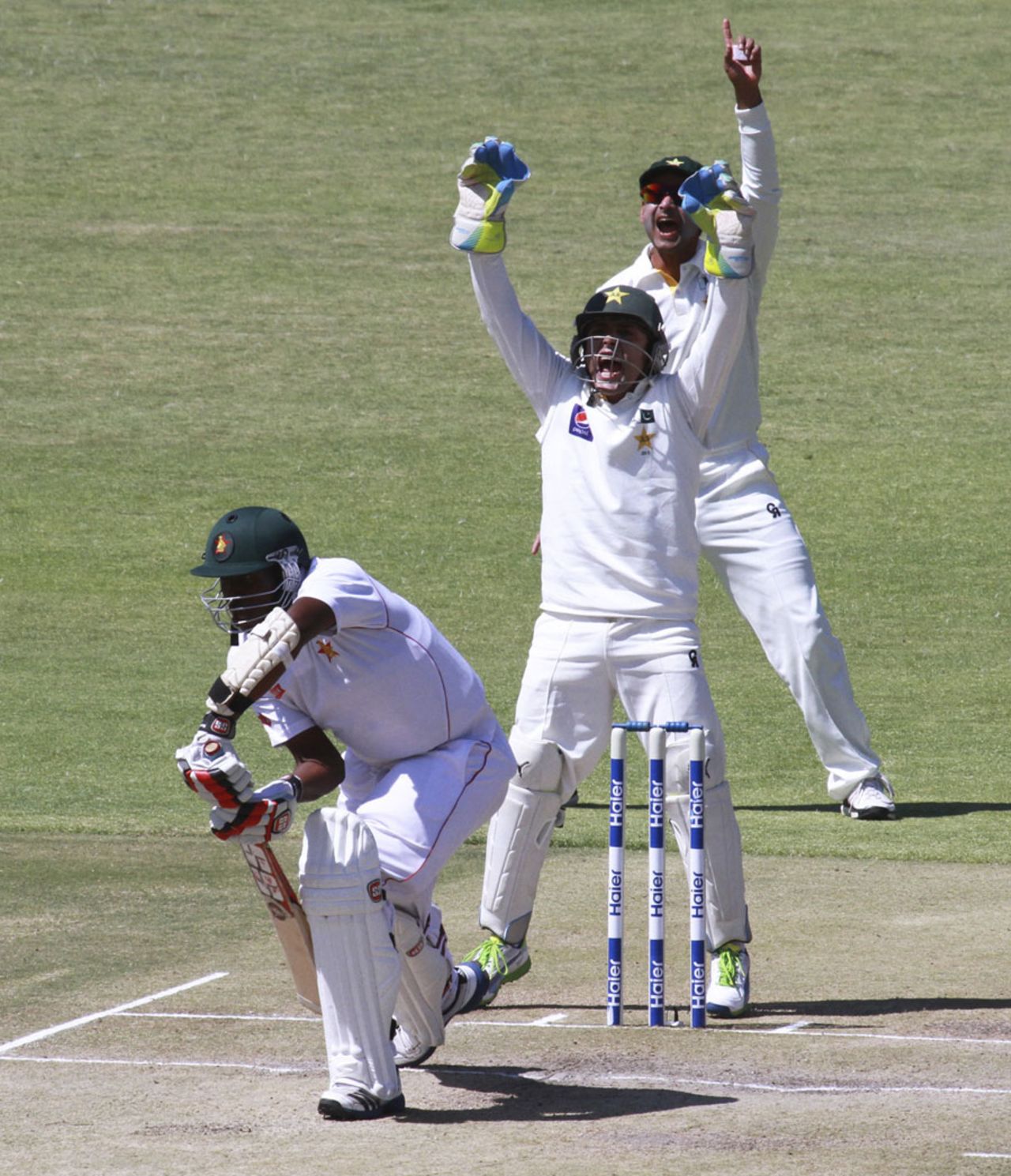 Pakistan players appeal for Shingi Masakadza's wicket, Zimbabwe v Pakistan, 1st Test, 3rd day, Harare, September 5, 2013
