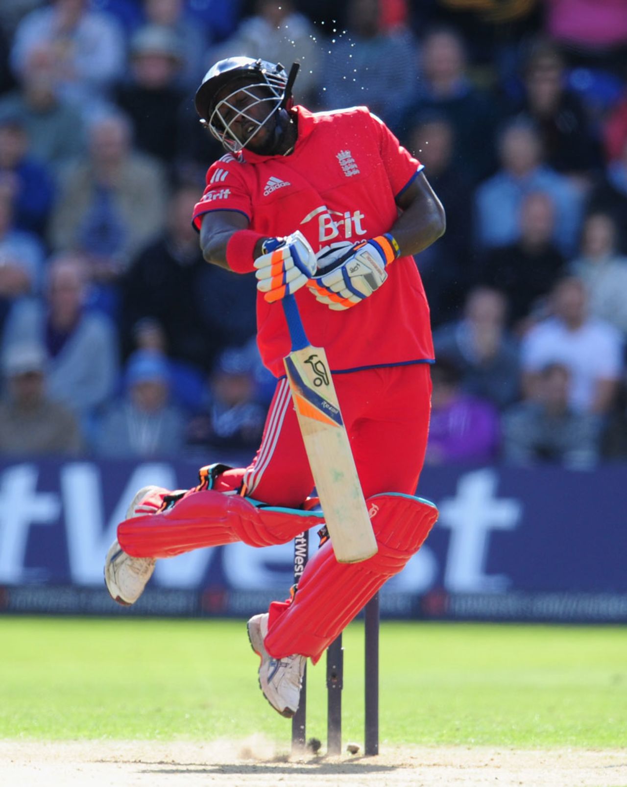 Michael Carberry managed to survive a vicious Mitchell Johnson bouncer, England v Australia, 4th NatWest ODI, Cardiff, September, 14, 2013