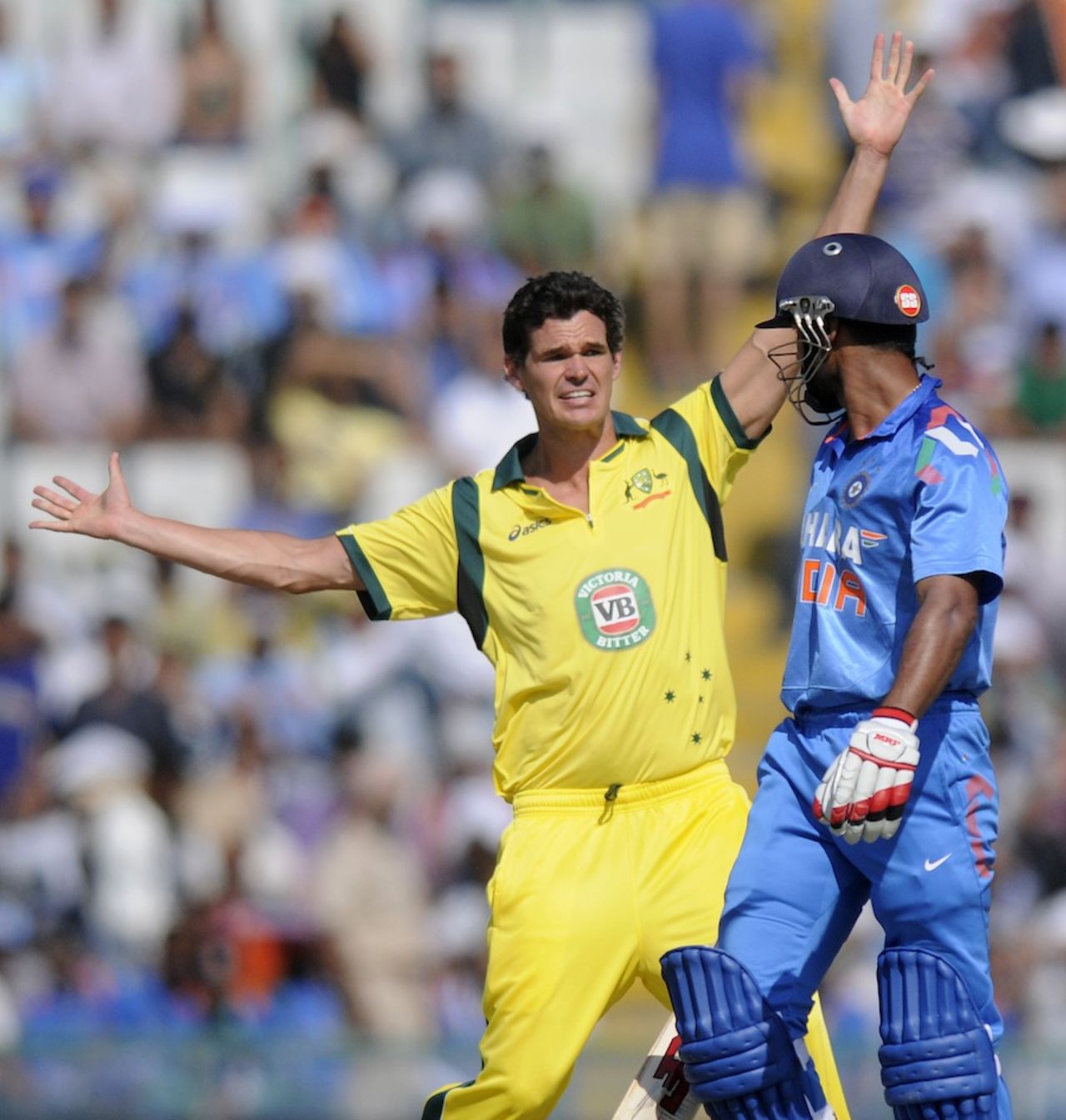 Clint McKay had Shikhar Dhawan caught behind early, India v Australia, 3rd ODI, Mohali, October 19, 2013