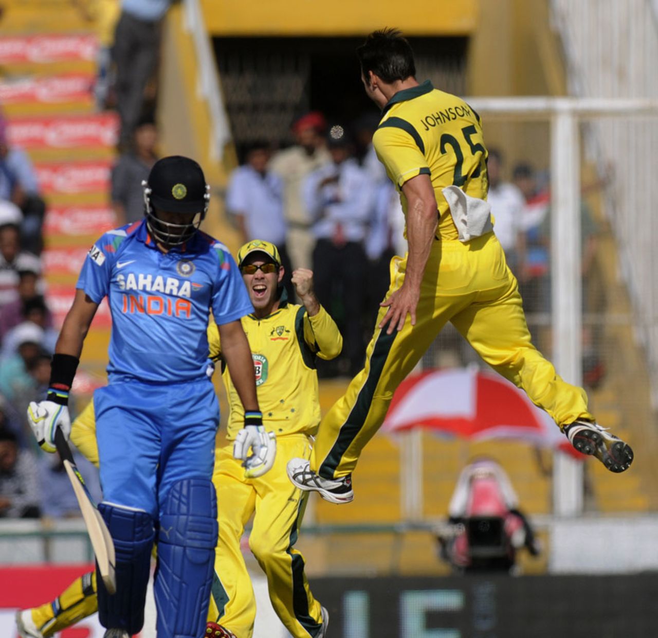 Mitchell Johnson is elated at dismissing Yuvraj Singh, India v Australia, 3rd ODI, Mohali, October 19, 2013